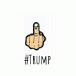 back thumbnail