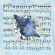 front swatch thumbnail