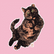 back thumbnail