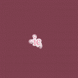 back thumbnail