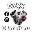 back thumbnail