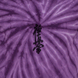 front swatch thumbnail