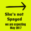 front swatch thumbnail