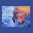 front swatch thumbnail