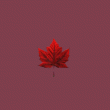 back thumbnail