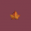 back thumbnail