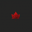 back thumbnail