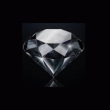back thumbnail