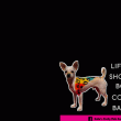 front swatch thumbnail