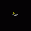 back thumbnail