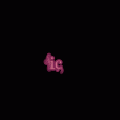 back thumbnail