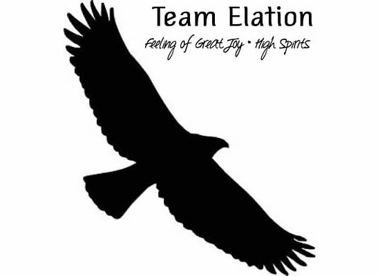 Team Elation