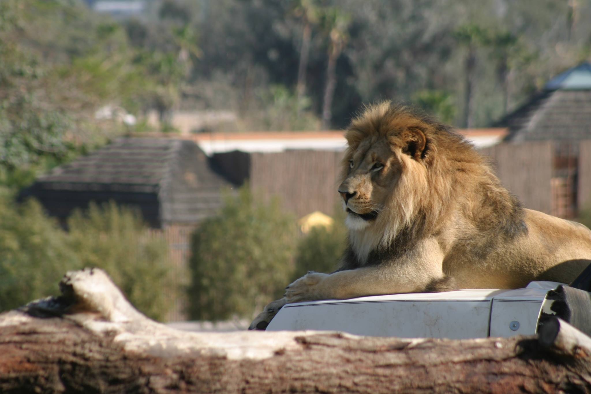 Intrepid Embarkments 