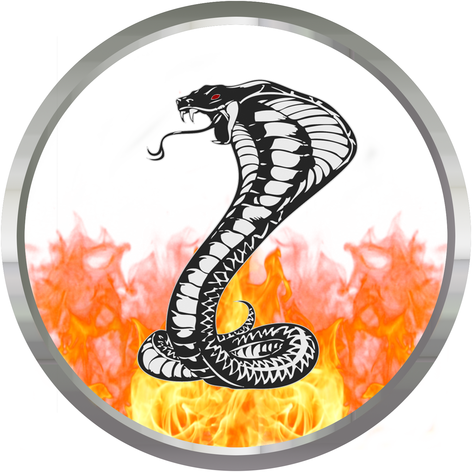 AARONZ COBRA DESIGNS