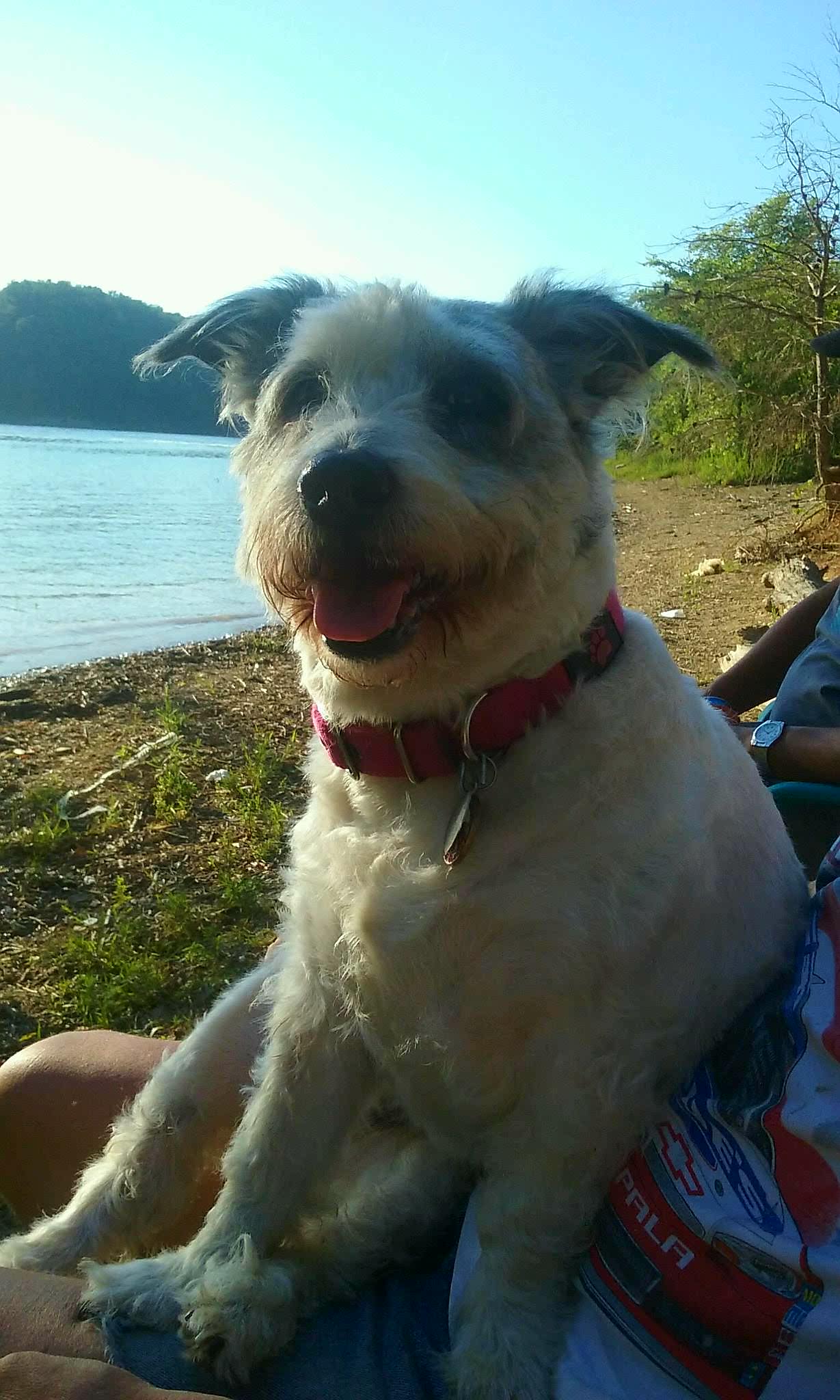 Don't Steal My Pancakes