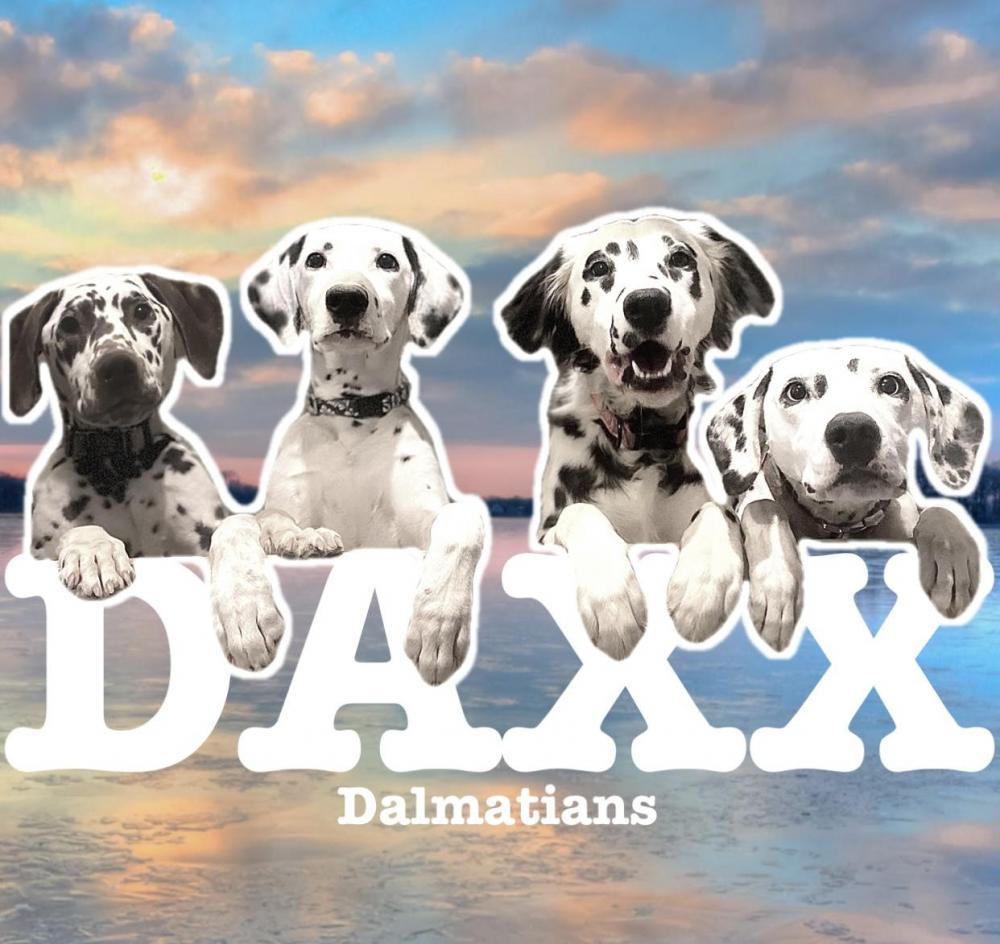 DAXX’s designs 