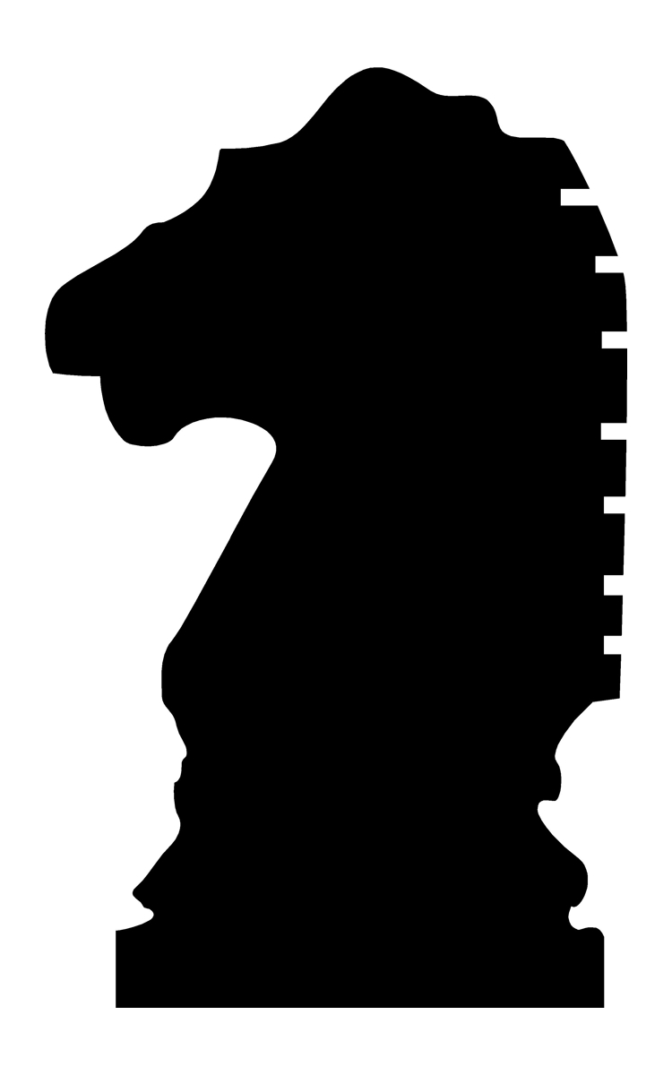 PARAGON SHIRTS BY ASHA & KAYLA