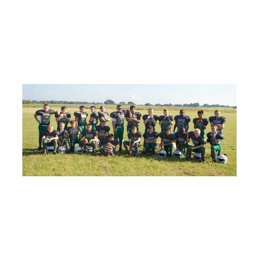 Academy Bees Fan Gear