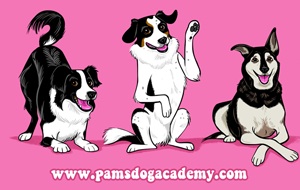 Pam's Dog Academy