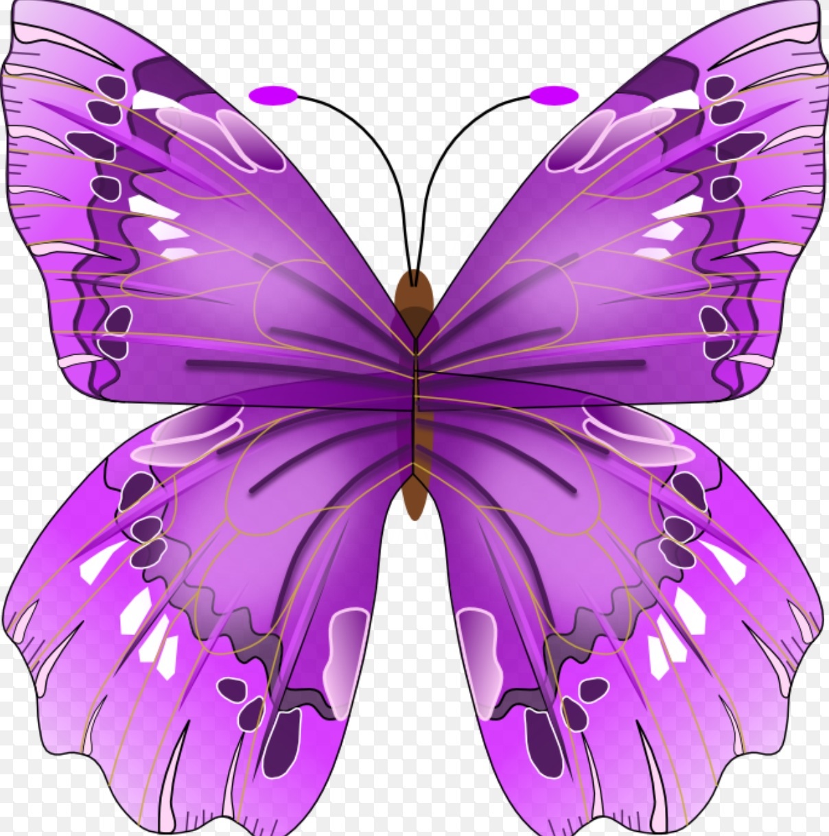 Inspiring Apparel by VRS