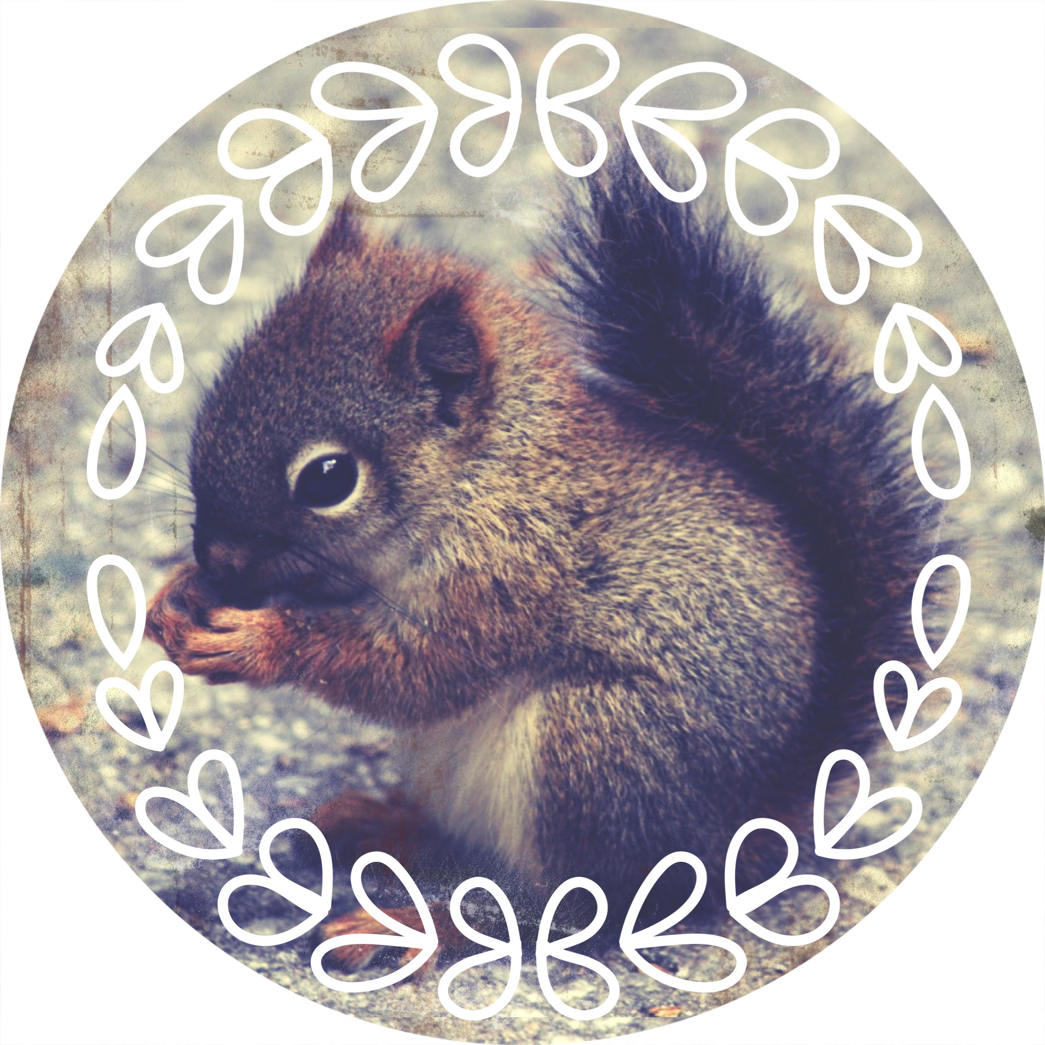 Baby Squirrel Boutique