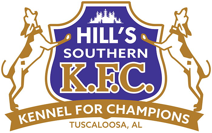 Hill's Kennel Champion Gear