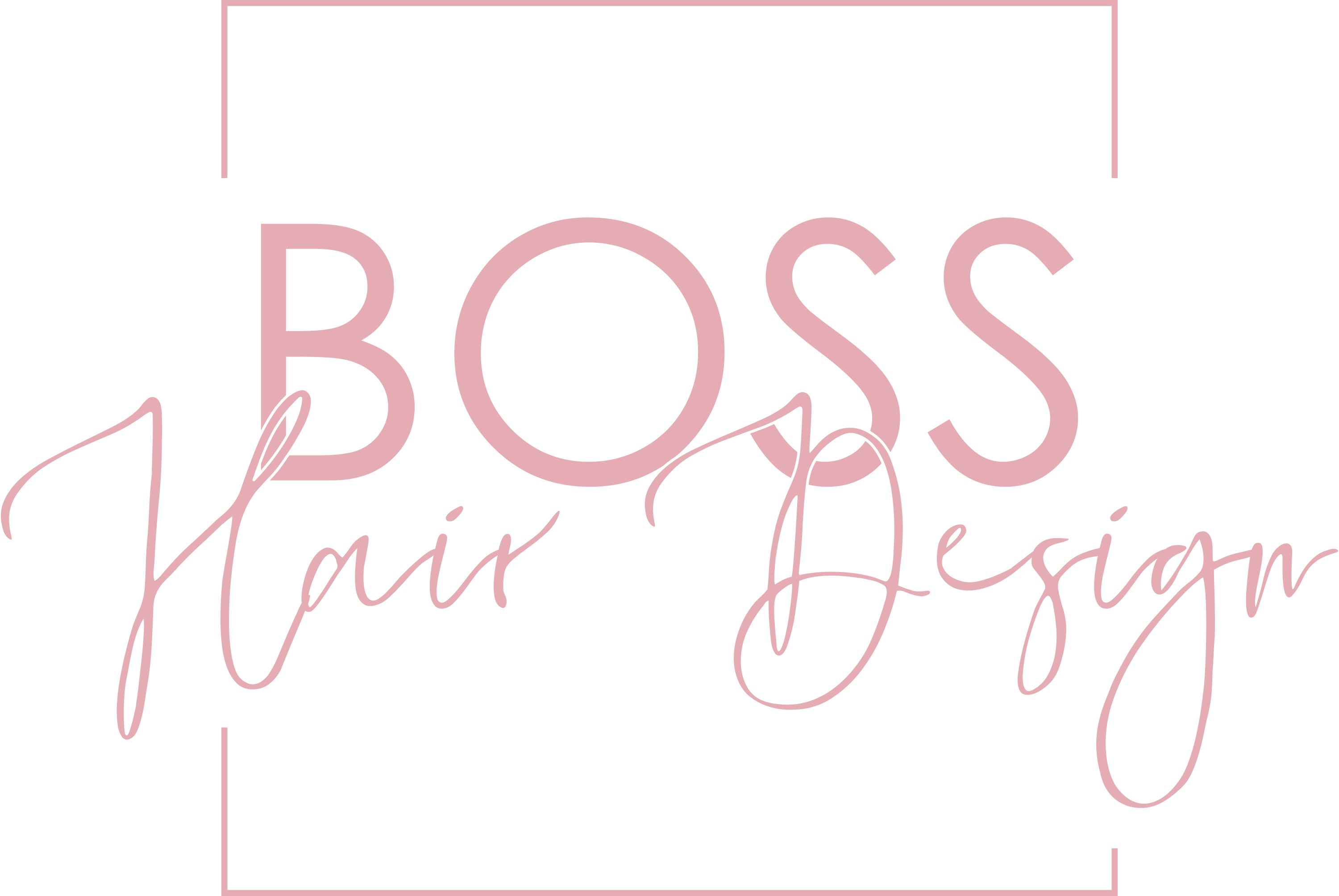 Boss Hair Design