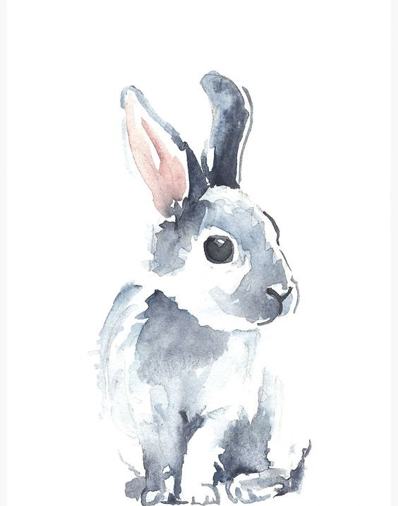 Bunny's little secret corner of goodies