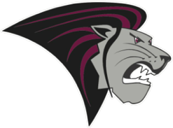 Detroit Southwest Lions