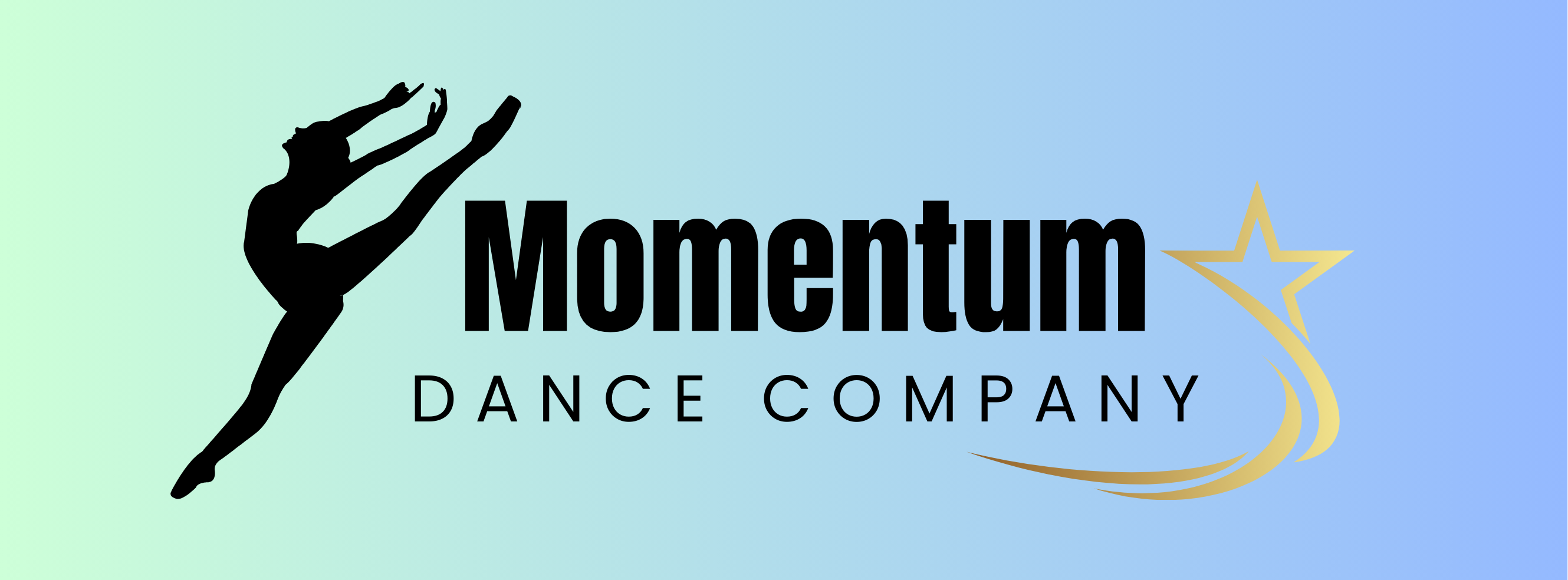 Momentum Dance Company Merchandise