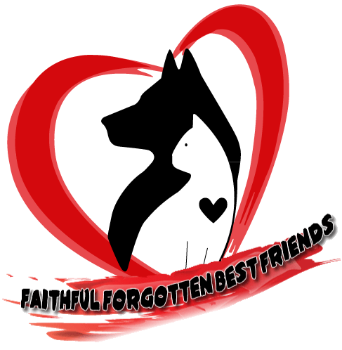 Faithful Forgotten Best Friends
