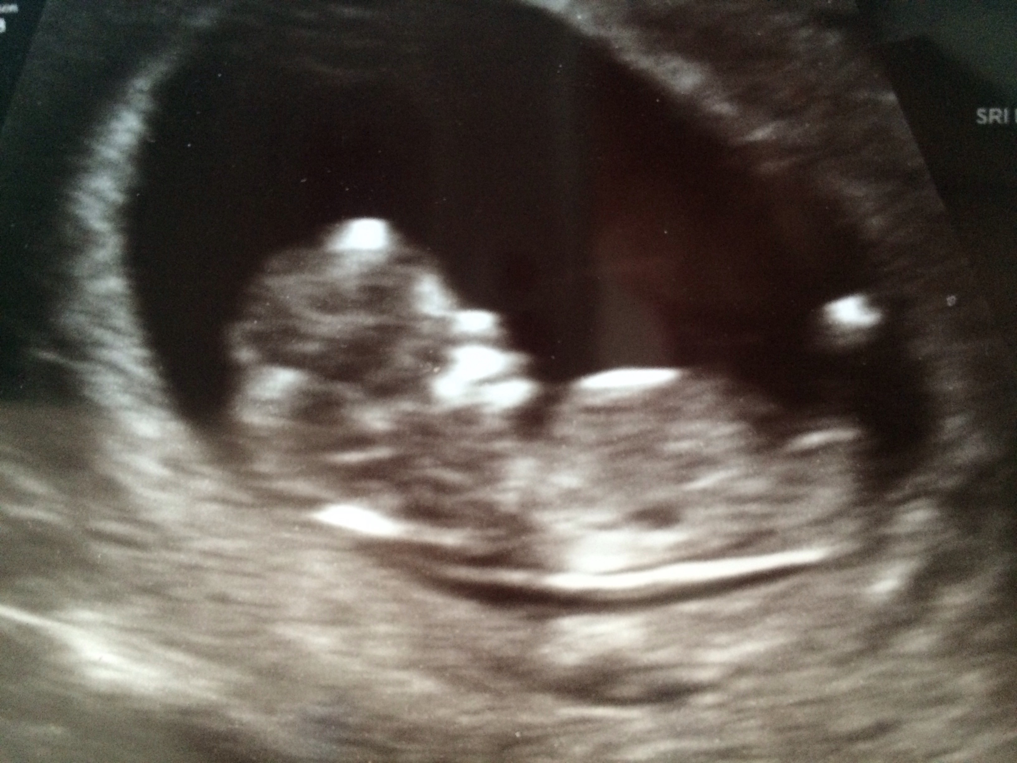 Politically Incorrect Maternity Wear