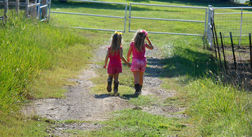 leavinmymarkqhfarmstore