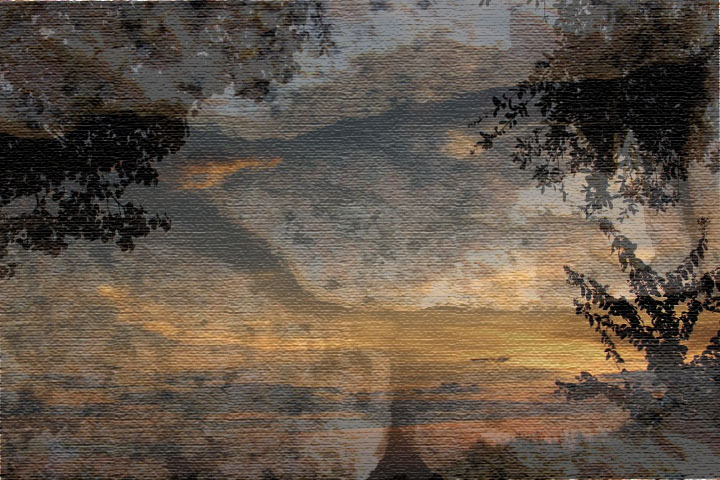 Doro-Tees and some inside jokes