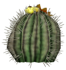 Cactus Barrel T-Shirt Designs