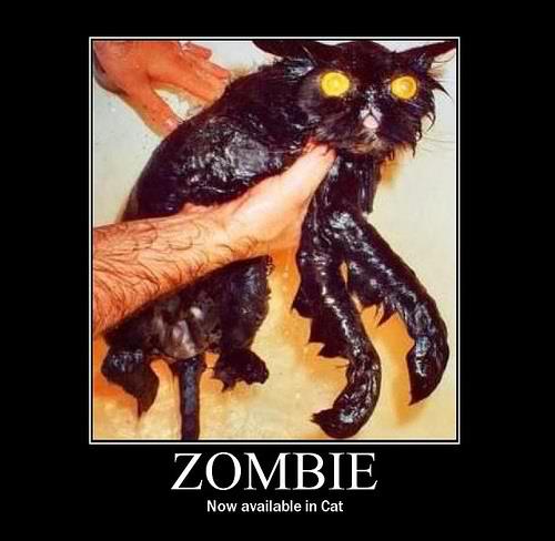 It's a Zombie Eat Zombie World