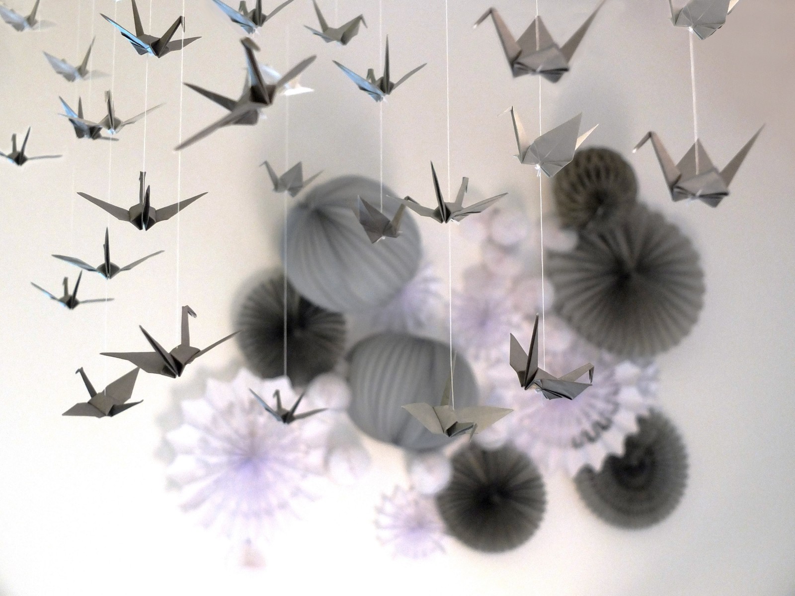 storefront image