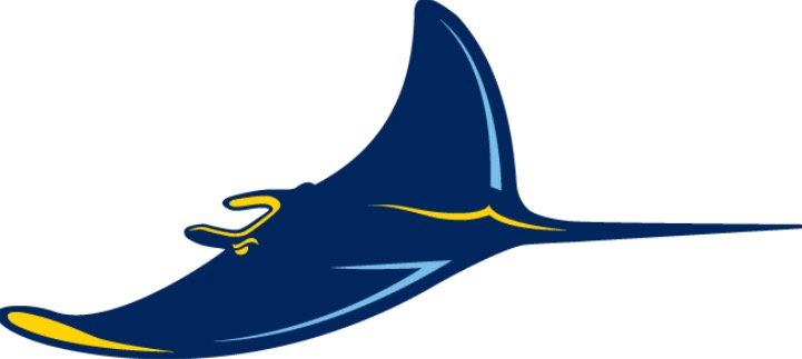 Myrtle Beach Rays Baseball 