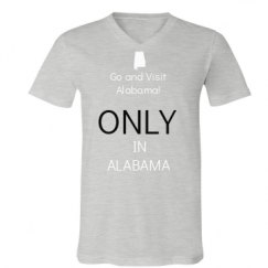 Unisex V-Neck Jersey Tee