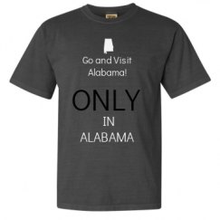 Adult Heavyweight T-Shirt