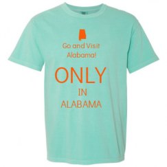 Adult Heavyweight T-Shirt