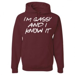 Unisex Basic Promo Hoodie