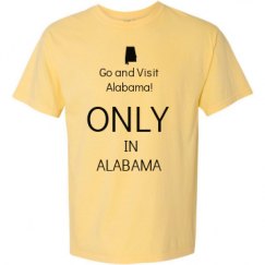 Adult Heavyweight T-Shirt