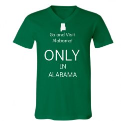 Unisex V-Neck Jersey Tee