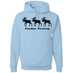 Unisex Basic Promo Hoodie