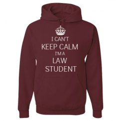 Unisex Basic Promo Hoodie