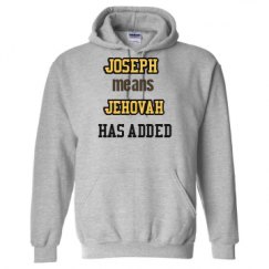 Unisex Basic Promo Hoodie