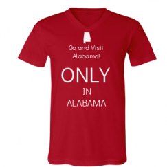 Unisex V-Neck Jersey Tee