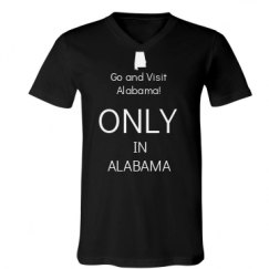 Unisex V-Neck Jersey Tee