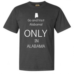 Adult Heavyweight T-Shirt